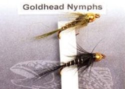 Goldhead Nymphs Fluer 